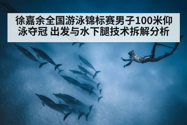 徐嘉余全国游泳锦标赛男子100米仰泳夺冠 出发与水下腿技术拆解分析