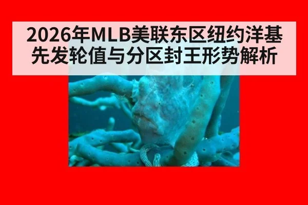 2026年MLB美联东区纽约洋基先发轮值与分区封王形势解析